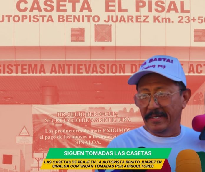 Agricultores de Sinaloa confían en un acuerdo con SADER