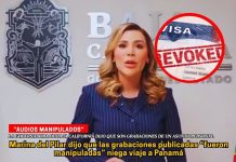 Marina del Pilar niega haber participado en una operación de espionaje