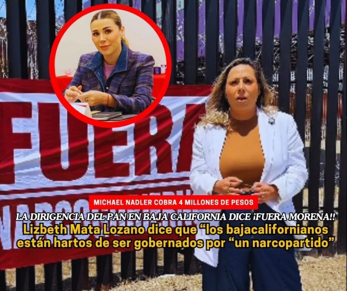 El Partido Acción Nacional (PAN) de Baja California aseguró que el abogado estadounidense Michael Nadler, consultado por la gobernadora Marina del Pilar Ávila Olmeda, cobra cerca de 4 millones de pesos.  